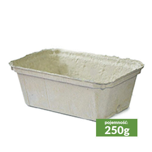 Containers for raspberries, blueberries, fruit 250g carton (approx. 1080 pcs.)